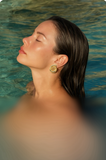 Conch Shell Earrings