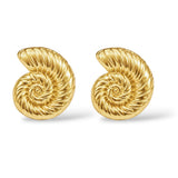 Small Conch Shell Stud Earrings