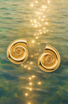 Conch Shell Earrings