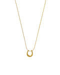 Horseshoe Necklace
