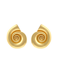 Conch Shell Earrings