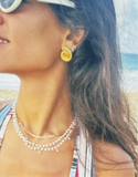 Conch Shell Earrings