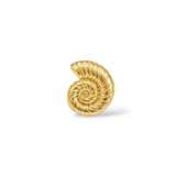 Small Conch Shell Stud Earrings